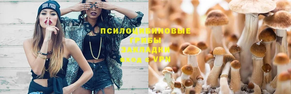 мескалин Новокубанск