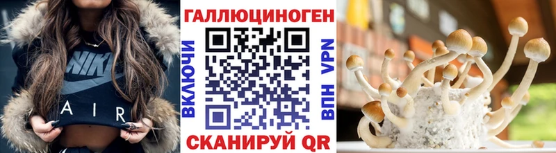 Галлюциногенные грибы Magic Shrooms  купить наркотики сайты  Олонец 